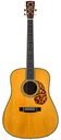 Blueridge BR280