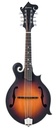 Eastman MD315E Sunburst