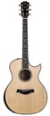 Taylor Custom Grand Auditorium Honduran Rosewood Sitka Spruce