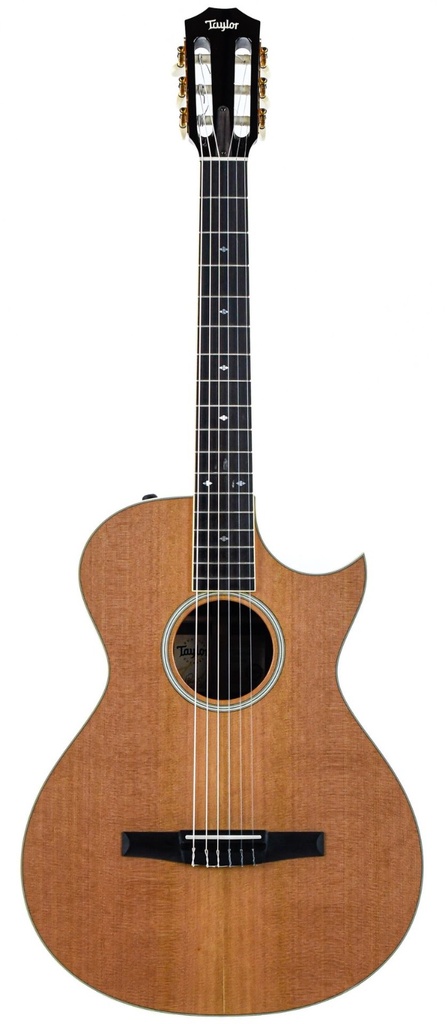 Taylor Custom Grand Concert Nylon Rosewood Cedar