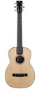 Furch LJ11-SR Little Jane Sitka Rosewood