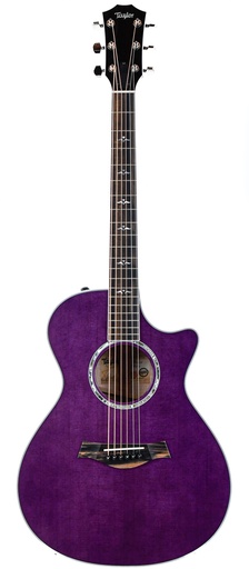 Taylor BTO ''Prince Guitar''