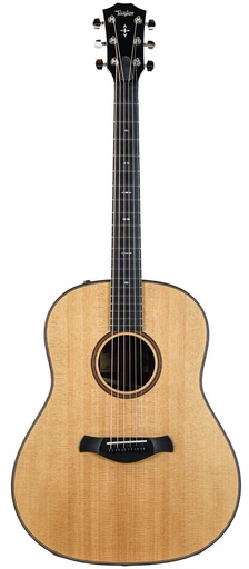 Taylor 717e Builder's Edition 2022