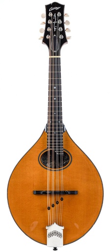 [A2780] Collings MT2O A Mandolin Natural 2013