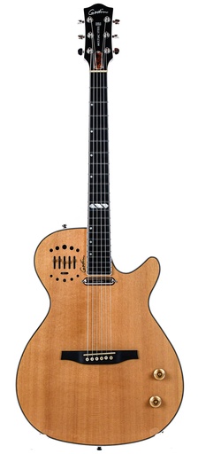 [19102197] Godin Multiac Steel HG 2021