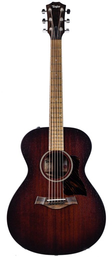 Taylor AD22E 2023