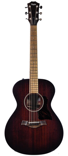 Taylor AD22e 2023