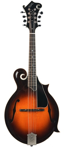[NFB-F5E] Northfield NFB F5E Big Mon Engelmann Standard Sunburst
