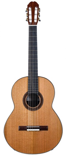 Mach Concert Double Top Cedar Rosewood