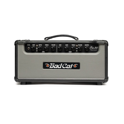 [PC-ERA30-HD-GRAY-240V] Bad Cat Era 30 Head Gray