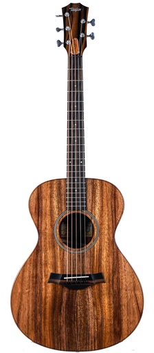 [E097501018106991000] Taylor Jacob Collier Signature Model 5 String