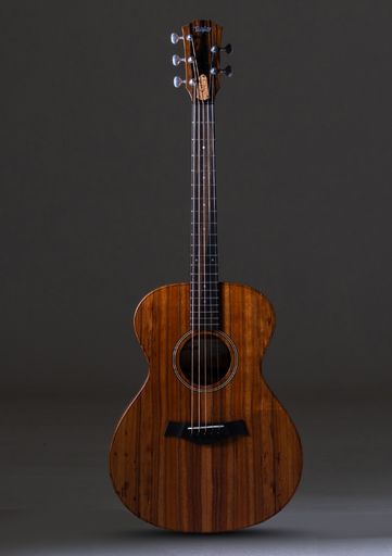 [E097501018106991000] Taylor Jacob Collier Signature Model 5 String