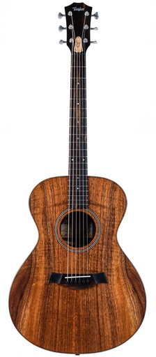 [E097001018106991000] Taylor Jacob Collier Signature Model 6 String