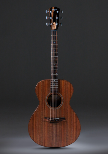 [E097001018106991000] Taylor Jacob Collier Signature Model 6 String