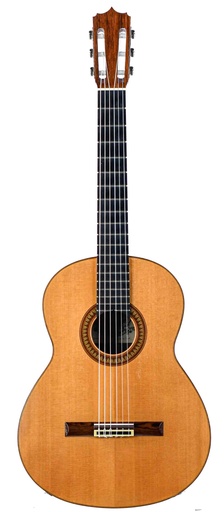 Nico Van Der Waals Concert Brazilian Rosewood Spruce 1970