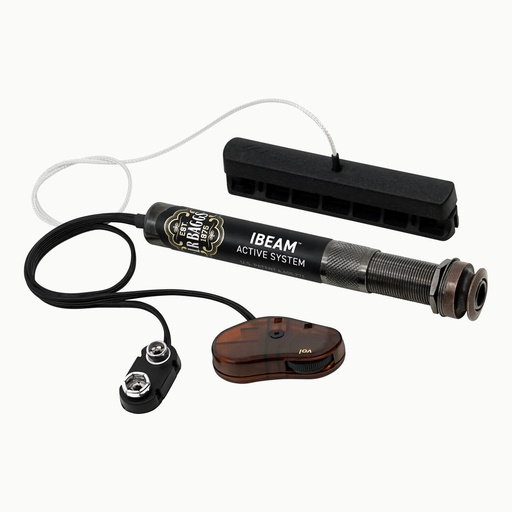 LR Baggs Ibeam