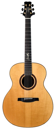 [A141324] PRS Private Stock Tonare Grand 25th Ann The Tree 2014