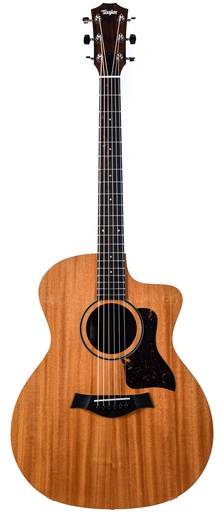 Taylor 24ce