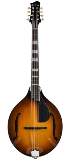 [MDO605-GB] Eastman MDO605 Goldburst