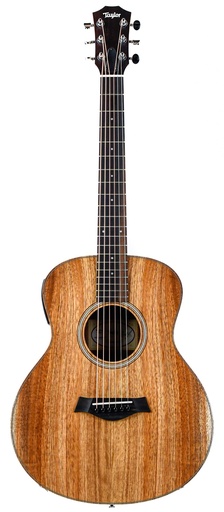 [FG01016017001751000] Taylor GS Mini-E Koa