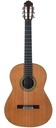 Bernabé M20 Cedar