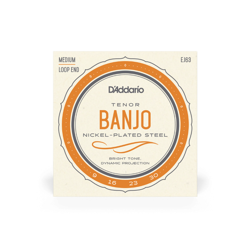 [EJ63] D'Addario EJ63 Tenor Banjo Nickel 9-30