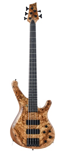 [BU3-000052] Sandberg Classic Special Spalted Maple 5-String
