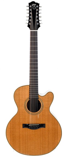 Santa Cruz F12-27 12 String 1981