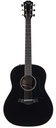 Taylor AD17e Blacktop