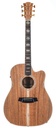 Cole Clark FL3EC-BLBL All Blackwood Ebony