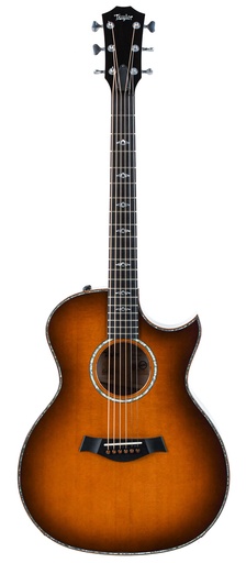 [2022 Limited] Taylor Grand Auditorium Big Leaf Maple Limited Edition 2022