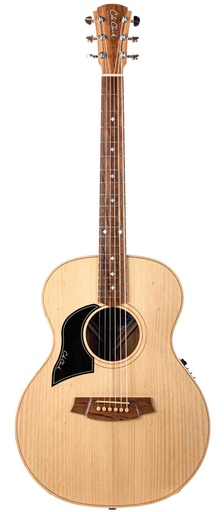 [19047501] Cole Clark AN2E Bunya Blackwood Lefty 2019