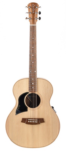 [19047501] Cole Clark AN2E Bunya Blackwood Lefty 2019