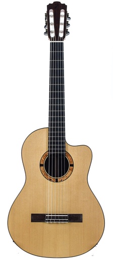 Karl Jürss Classical Rosewood Spruce Recent