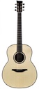 McIlroy A66 Claro Walnut